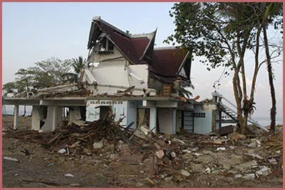 Homestead Restoration Expert Homestead, FL 786-296-0023