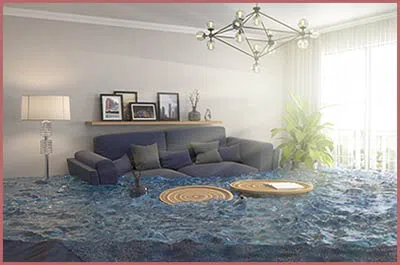 Homestead Restoration Expert Homestead, FL 786-296-0023