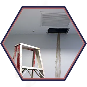 Homestead Restoration Expert Homestead, FL 786-296-0023