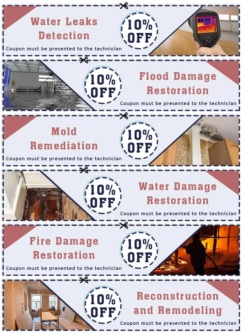 Homestead Restoration Expert Homestead, FL 786-296-0023